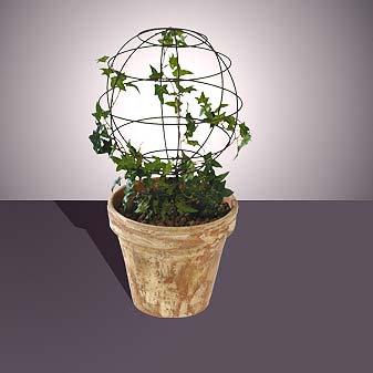 Pflanzgestell bzw. Rankhilfe Kugel Gibt Ihren Pflanzen Halt beim Wachsen und Gedeihen.