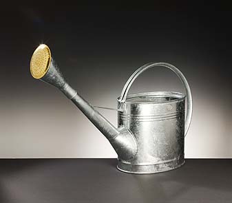 Burgon & Ball Gießkanne 