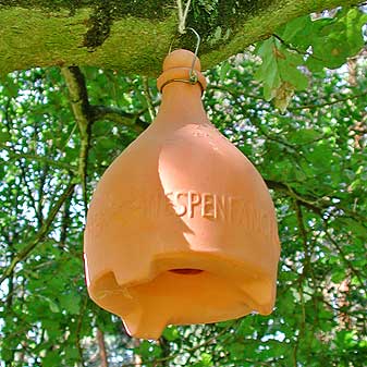 Wespenfalle terracotta 