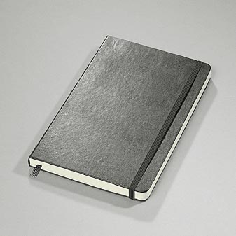 Reiseerinnerungen, Tagebucheintragungen, Notizen oder Skizzen.