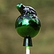 Rosenkugel Frosch grün Grün wird die Fähigkeit zugeschrieben, für eine gute Ernte zu sorgen.